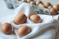 Навіщо досвідчені господині трясуть яйця перед варінням – цікава кулінарна хитрість