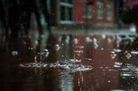Рівненщину поливатиме дощ: Коли пройдуть опади