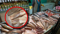 Риба-помийка: цю популярну рибу на ринках не радять купувати навіть продавці (ФОТО)