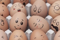 Як обрати ідеальні яйця до Великодня (ФОТО)